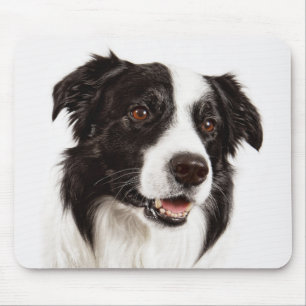 Border Collie Puppy Dog Mousepad
