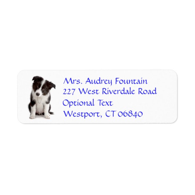 Border Collie Puppy Dog Return Address Name Label (Front)