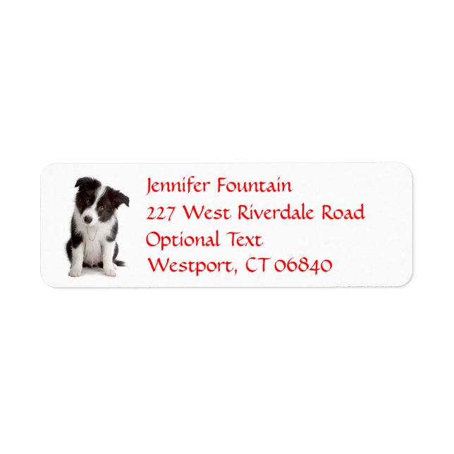 Border Collie Puppy Dog Return Address Name Label (Front)
