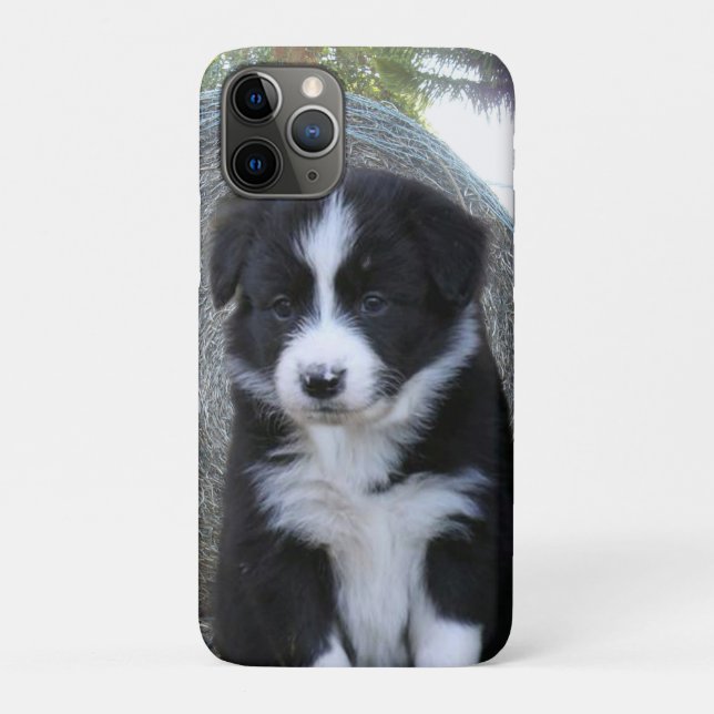 Border Collie Puppy Farm Life, Case-Mate iPhone Case (Back)
