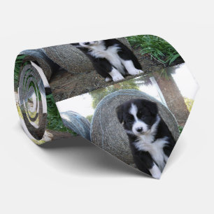 Border Collie Puppy Farm Life, Tie