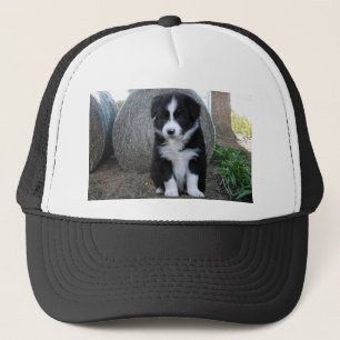 Border Collie Puppy Farm Life, Trucker Hat