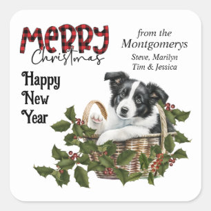 Border Collie Puppy Holly Basket Christmas Square Sticker