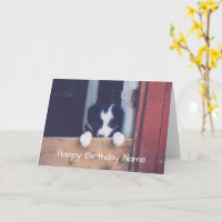 Border Collie Puppy Personalised Birthday Card