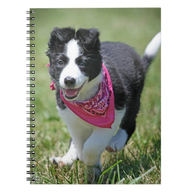 Border Collie Puppy running Notebook (Front)