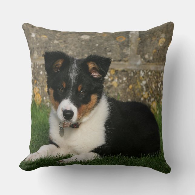 Border Collie Puppy with Leaf in Mouth Cushion (Front)