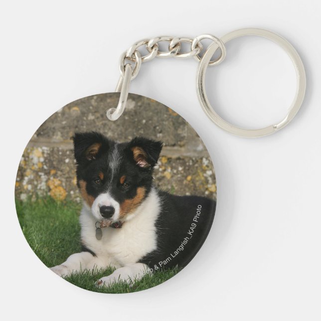 Border Collie Puppy with Leaf in Mouth Key Ring (Back)