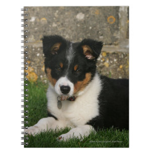 Border Collie Puppy with Leaf in Mouth Notebook