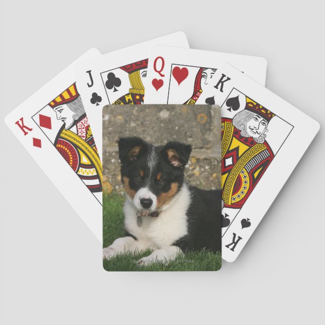 Border Collie Puppy with Leaf in Mouth Playing Cards (Back)