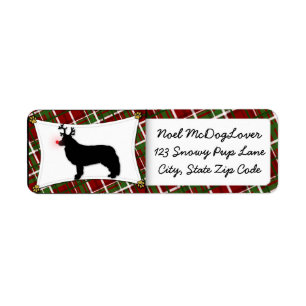 Border Collie Reindeer Christmas Return Address Label