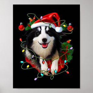 Border Collie Reindeer Santa Hat Xmas Lights Chris Poster