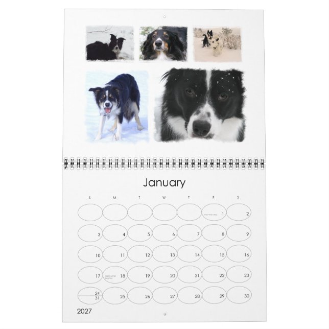 Border Collie Rescue 2008 Calendar (Jan 2027)