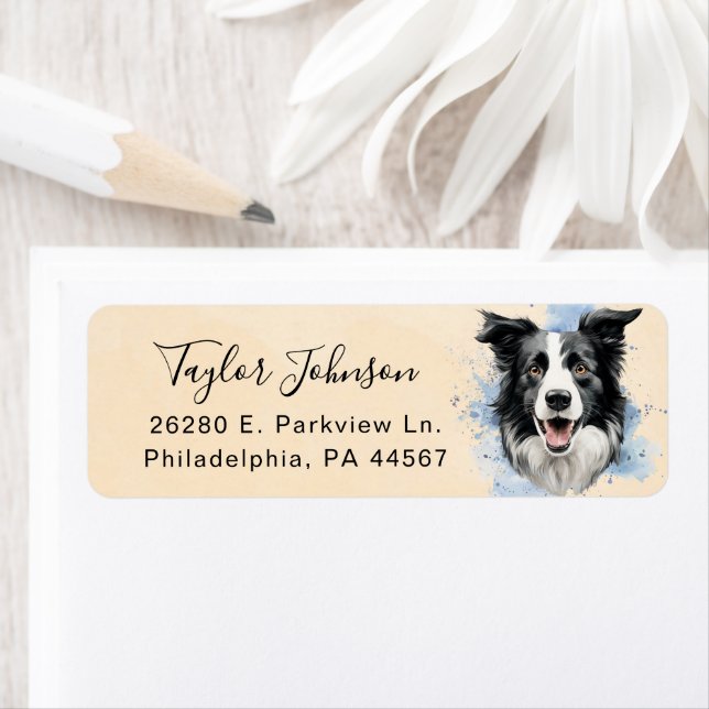 Border Collie Return Address Label (Insitu)
