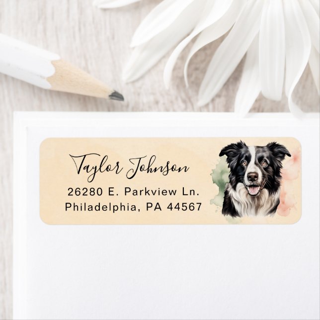 Border Collie Return Address Label (Insitu)