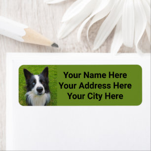 Border Collie Return Address Label
