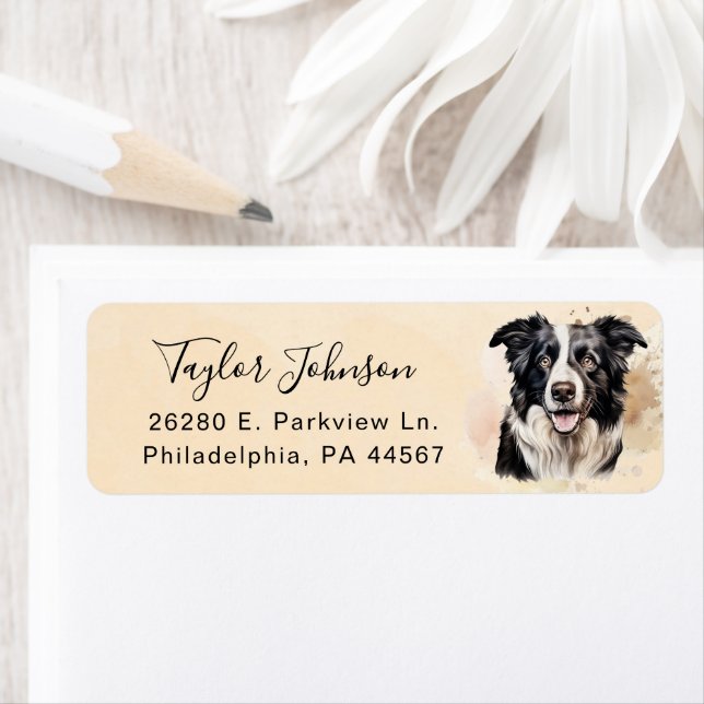 Border Collie Return Address Label (Insitu)