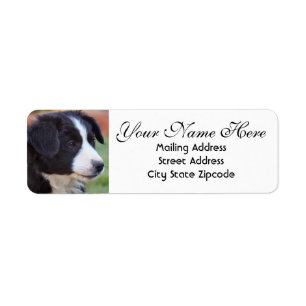 Border Collie Return Address Label