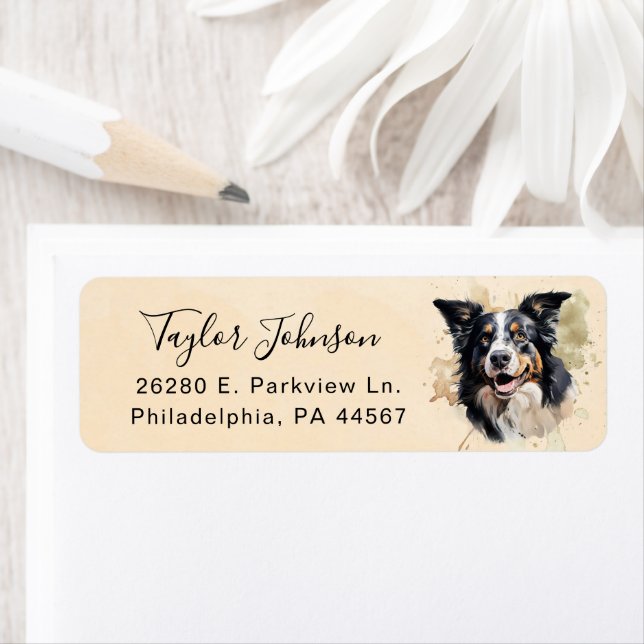 Border Collie Return Address Label (Insitu)
