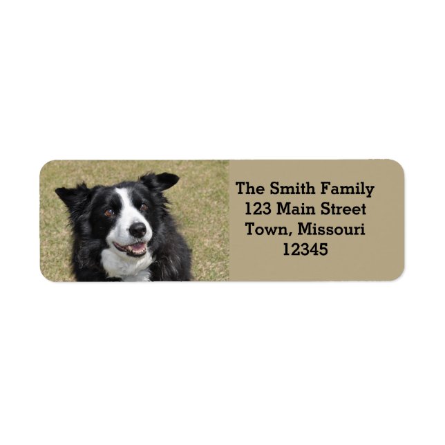 Border collie return address label (Front)