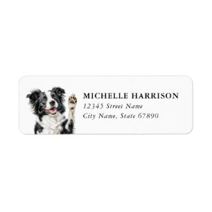 Border Collie Return Address Labels