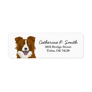 Border Collie Return Address Return Address Label