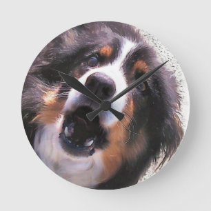 BORDER COLLIE ROUND CLOCK