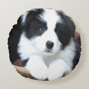 Border Collie Round Pillow