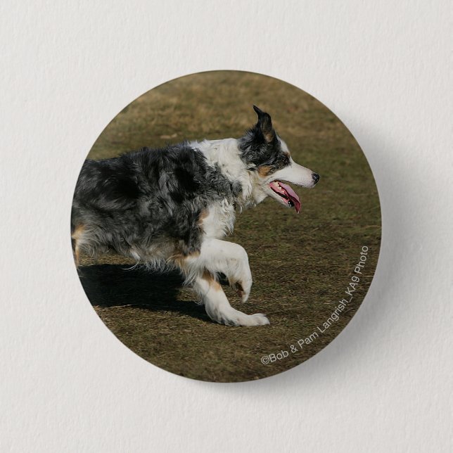 Border Collie Running 1 6 Cm Round Badge (Front)