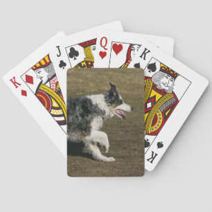 Border Collie Running 1 Playing Cards