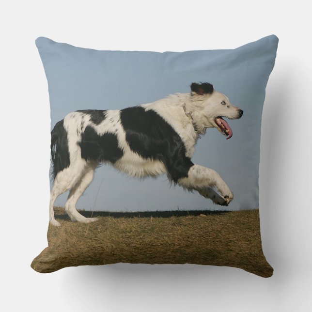 Border Collie Running 2 Cushion (Front)
