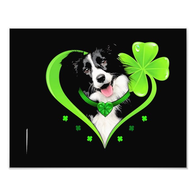 Border Collie Shamrock Heart Photo Print (Front)