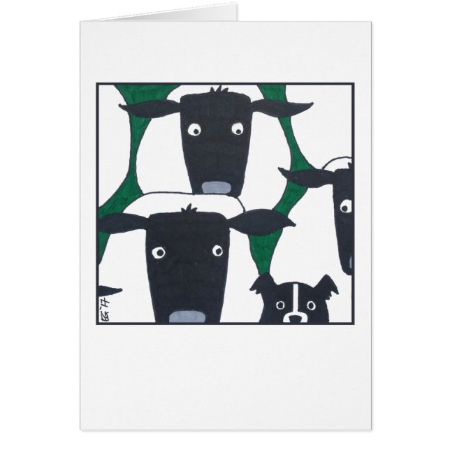 Border Collie & Sheep Blank Card (Front)