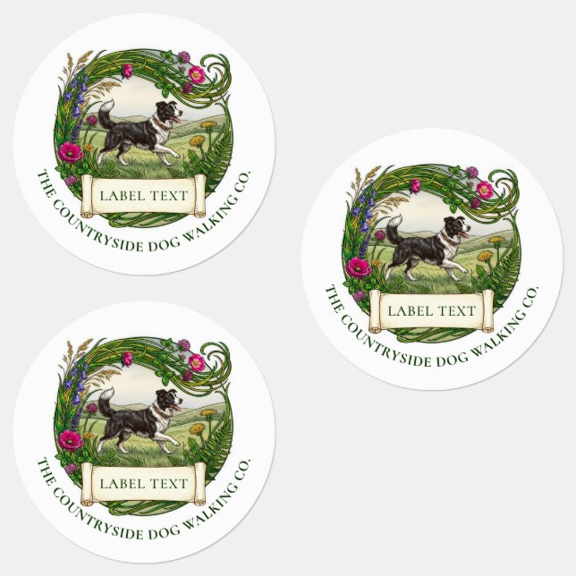 Border Collie Sheep Dog Walker Trainer (Group)