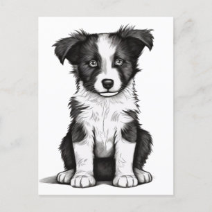 Border Collie Sheepdog Australian Shephard Puppy Postcard