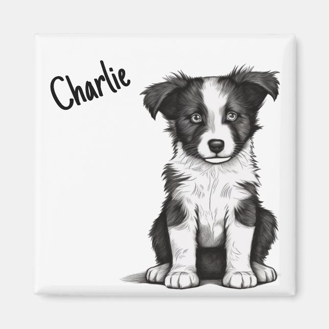 Border Collie Sheepdog Puppy Custom Name Cute Magnet (Front)