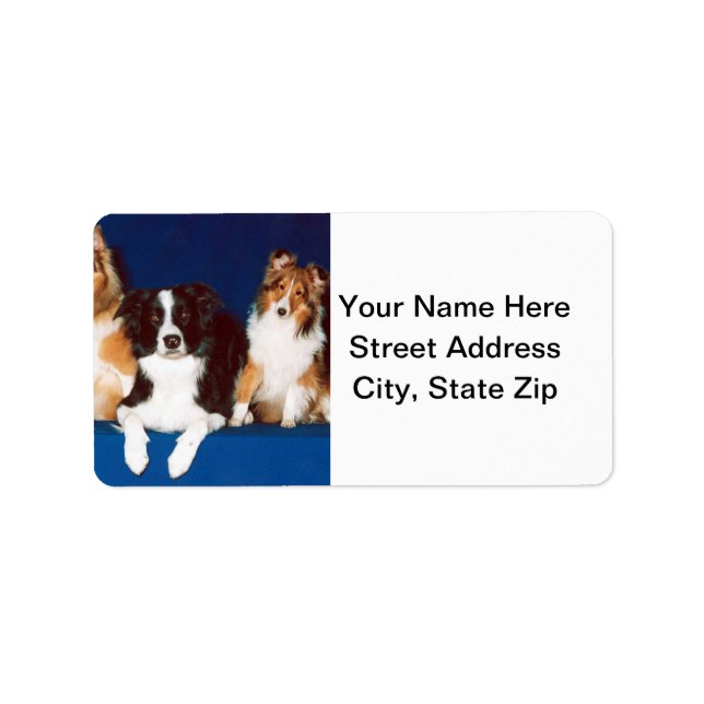 Border Collie & Shelties Label (Front)