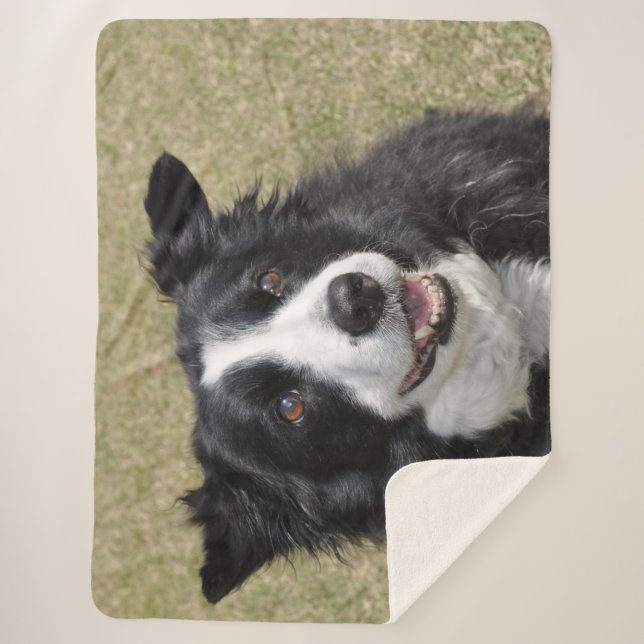 Border collie sherpa blanket (Front)