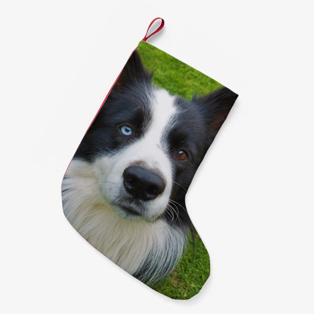 Border Collie Small Christmas Stocking (Front (Hanging))