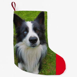 Border Collie Small Christmas Stocking