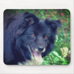 Border Collie Smiling  Mouse Pad