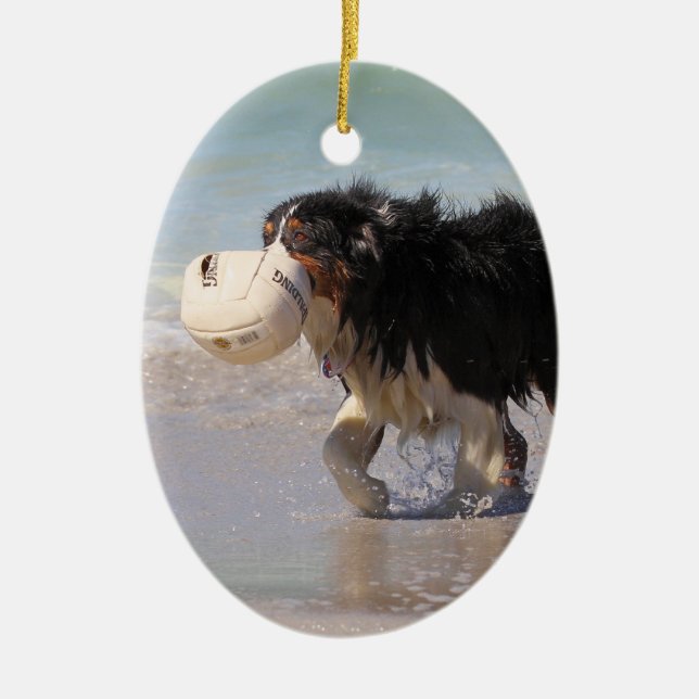Border Collie - Soccer Anyone? Ceramic Ornament (Front)