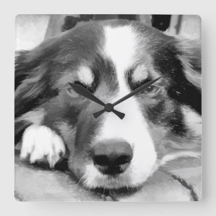 BORDER COLLIE SQUARE WALL CLOCK