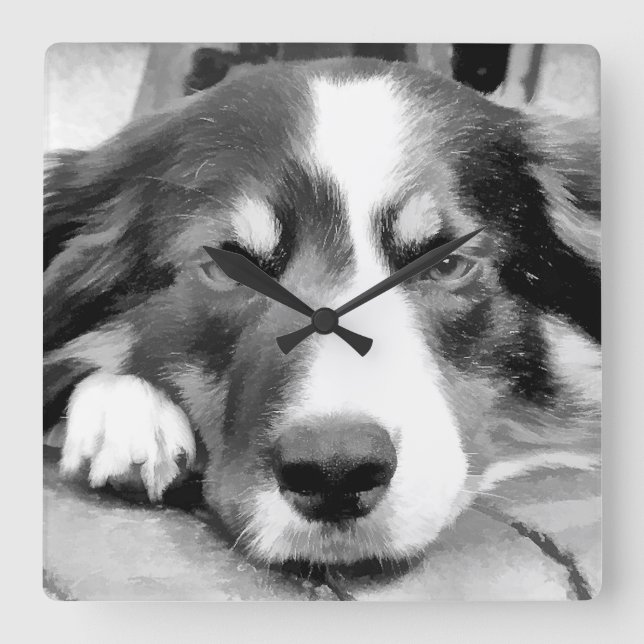 BORDER COLLIE SQUARE WALL CLOCK (Front)