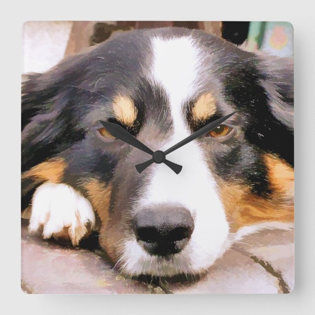 BORDER COLLIE SQUARE WALL CLOCK (Front)