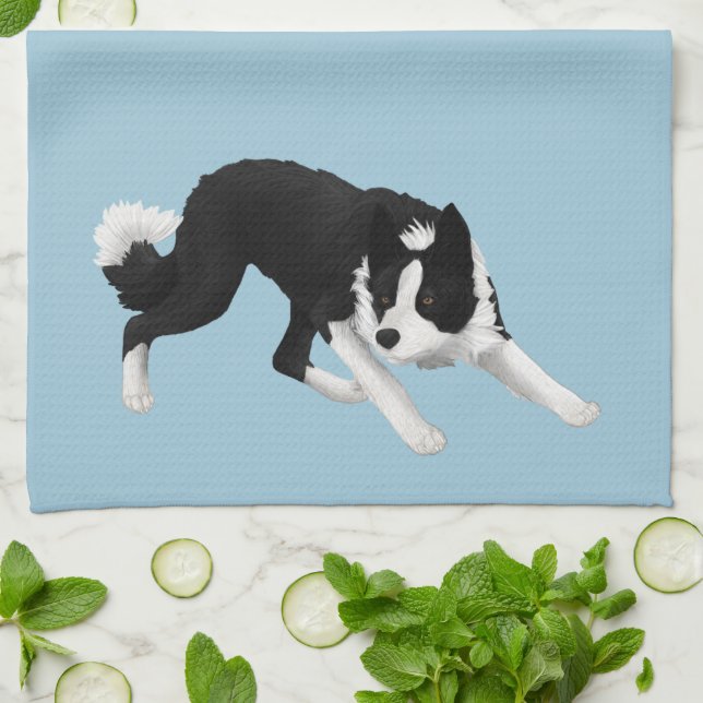 Border Collie Stare Tea Towel (Folded)