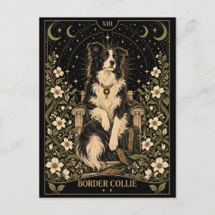 Border Collie, Starlit Tarot Art Postcard