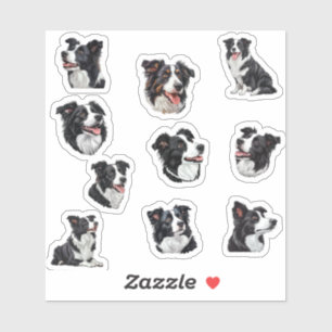border collie sticker pack