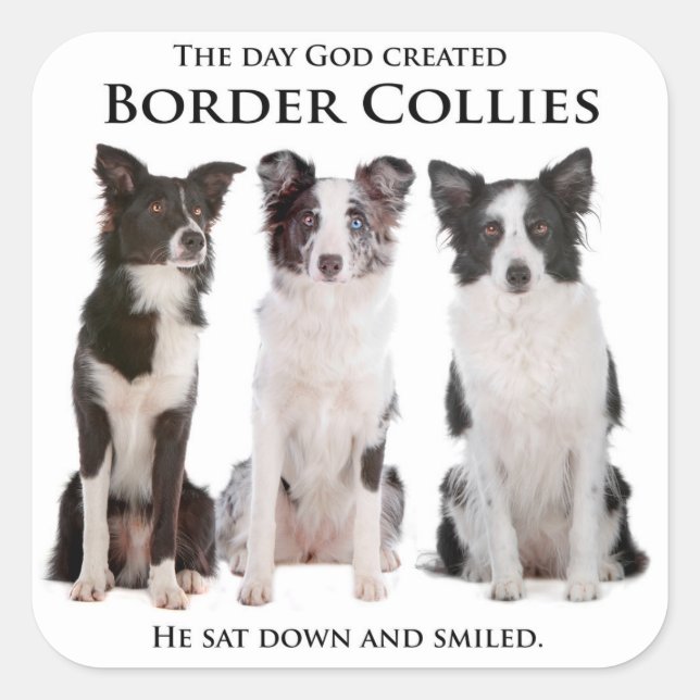 Border Collie Stickers (Front)