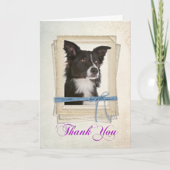 Border Collie Thank You Card (Front)