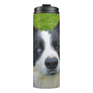 Border Collie Thermal Tumbler